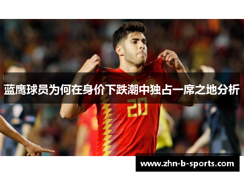 蓝鹰球员为何在身价下跌潮中独占一席之地分析