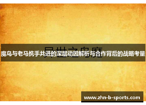 魔鸟与老马携手共进的深层动因解析与合作背后的战略考量