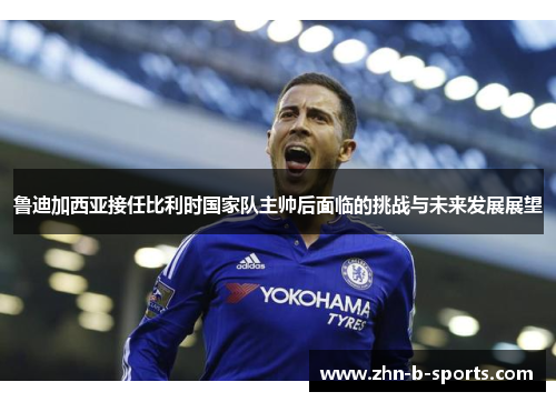 鲁迪加西亚接任比利时国家队主帅后面临的挑战与未来发展展望